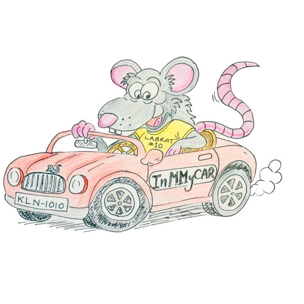 Labrat InMMyCAR Rego KLN1010 Thumbnail